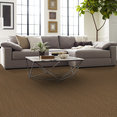TREAD-ON-ME-54749-MESA-BROWN-00701-room-image